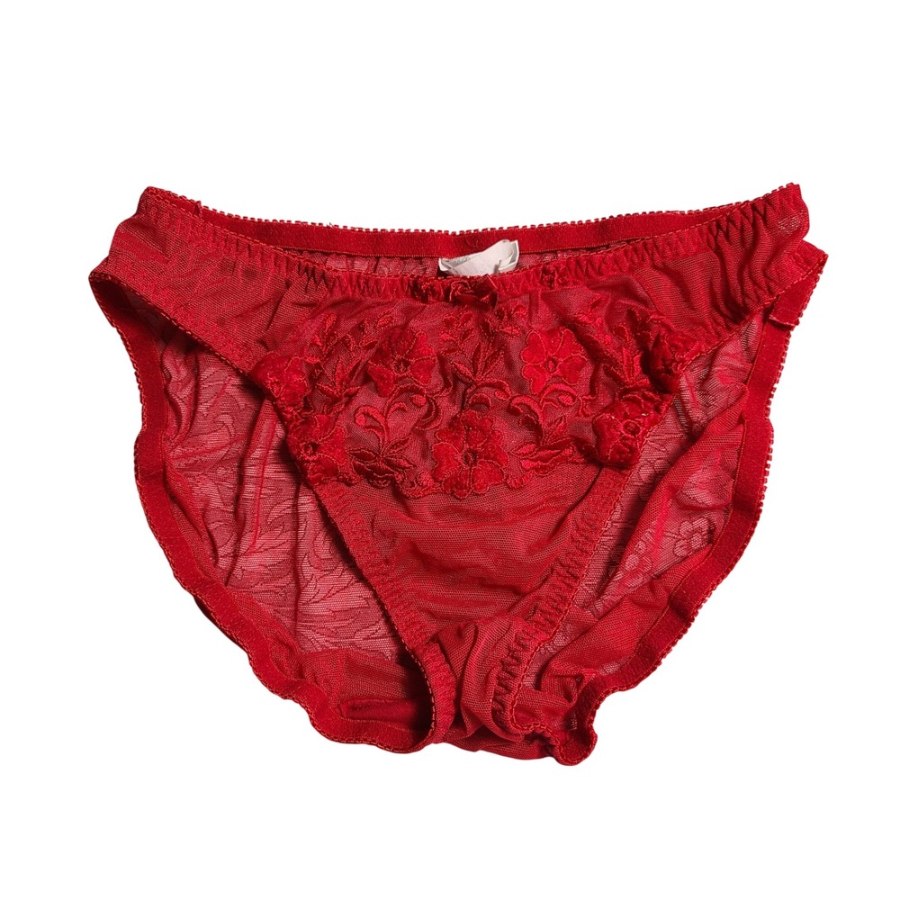 Vtg Felina Red Sheer Floral Embroidered Panties Womens M Romantic Classy Boudoir